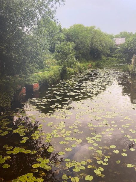 River next to our Nursery